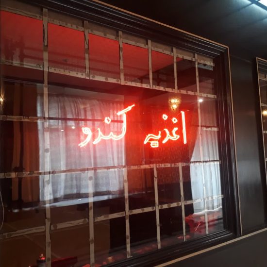 photo4504455219