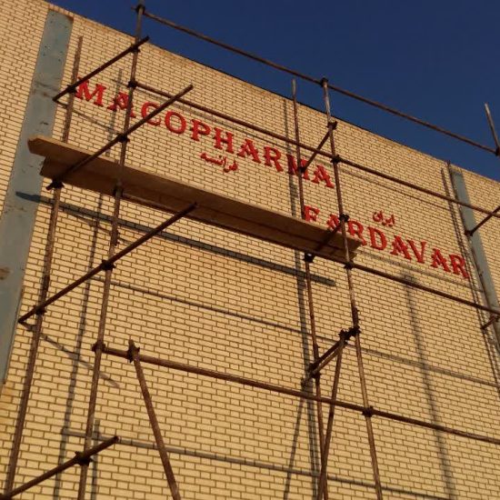 photo4504534620